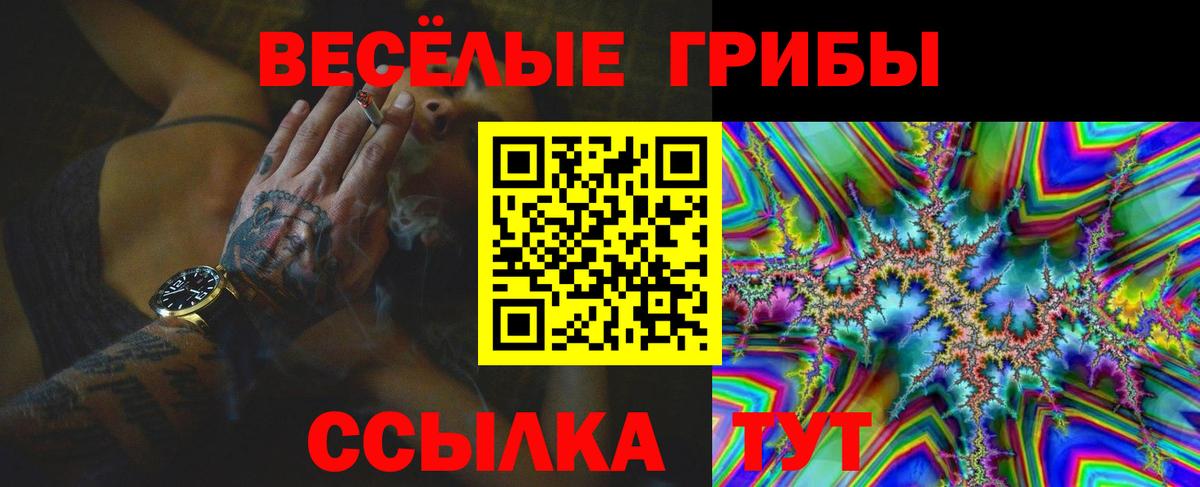 Галлюциногенные грибы Magic Shrooms Можайск
