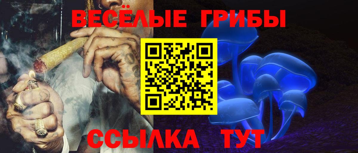 Можайск  Псилоцибиновые грибы Psilocybine cubensis  Вход с VPN 